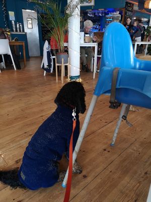  at Blue Bar in Porthtowan