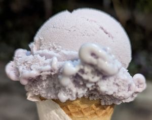 Okinawan sweet potato gelato at Via Gelato in Honolulu