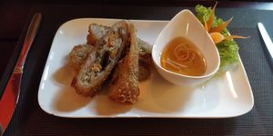 Springrolls (14) at Tradition aus Vietnam in Aachen