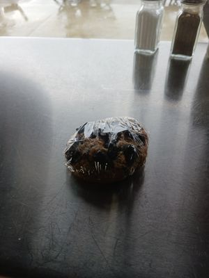  at Living on the Veg in Manahawkin