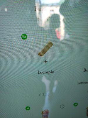 Vegan loempia at the snackbar at Efteling in Kaatsheuvel