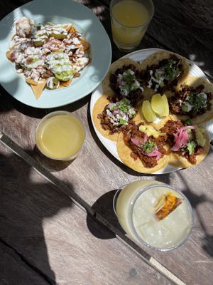 Vegan taco truck   at The House of AïA in Playa Del Carmen