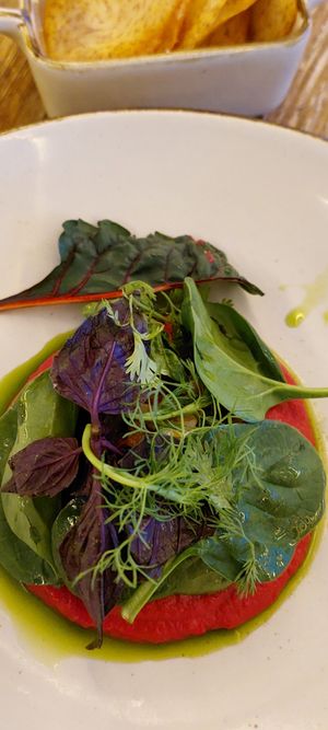 Beet Hummus @su casa at The House of AïA in Playa Del Carmen