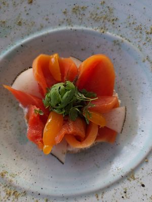  at The House of AïA in Playa Del Carmen