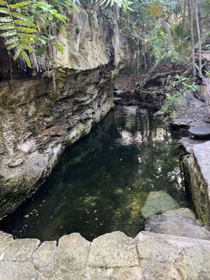 Cenote  at The House of AïA in Playa Del Carmen