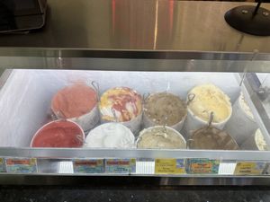 All vegan flavors except vanilla  at Lappert's Ice Cream in Sausalito