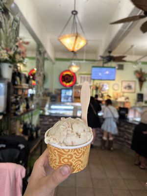 Vegan Loco Coco  at Lappert's Ice Cream in Sausalito