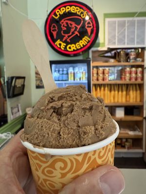 Coffee flavored vegan   at Lappert's Ice Cream in Sausalito