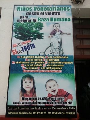 Vegan life at Gira El Sol in Pasto