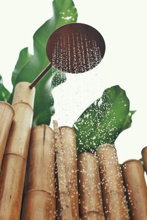 Ensuite for two people, bathroom at Yay Sustainable Restaurant Lodge in Magdalena