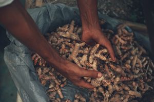 Our garden at Yay Sustainable Restaurant Lodge in Magdalena