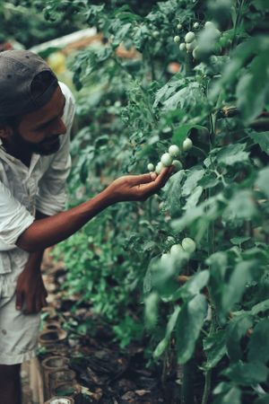 Our garden at Yay Sustainable Restaurant Lodge in Magdalena
