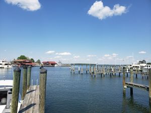 The view from our spot on the deck! at Foxy's Harbor Grille in St Michaels