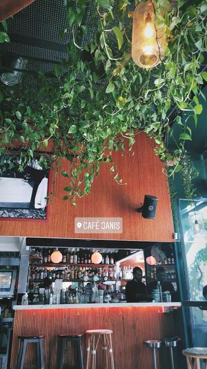 Cafe at Café Janis in Lisbon