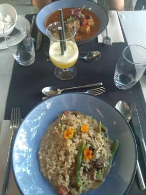 Tofu and risotto at Theo's Bazar Cafe in Funchal