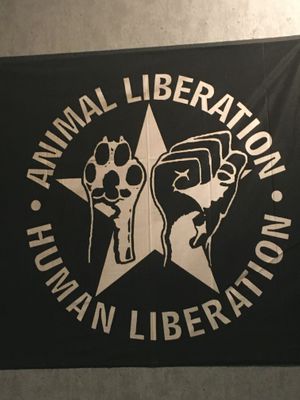 In the restaurant at Front Food in Vienna