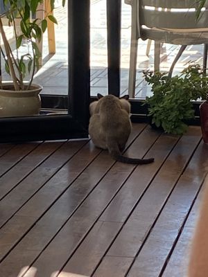 Feed station  at NIYA in Casablanca