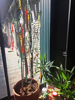 Leave an inspiring message for the next customer at NIYA in Casablanca