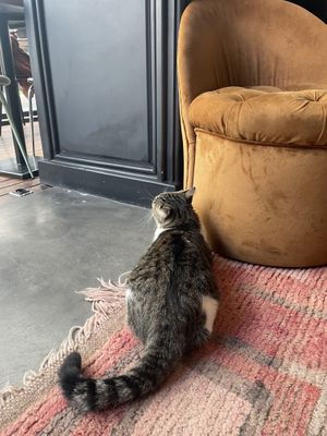   at NIYA in Casablanca