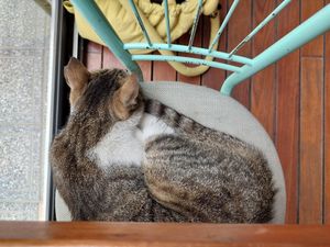 Shared space! at NIYA in Casablanca