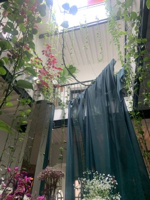   at NIYA in Casablanca