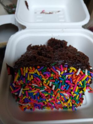 Double chocolate cake with rainbow sprinkles at Your Local Seitanist in Chattanooga