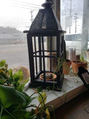 So cute at Your Local Seitanist in Chattanooga