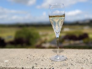  at Domaine Carneros in Napa