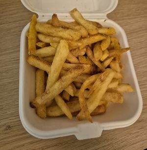 House-seasoned French fries at The Tavern in Prague