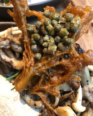   at Botanique in Hove