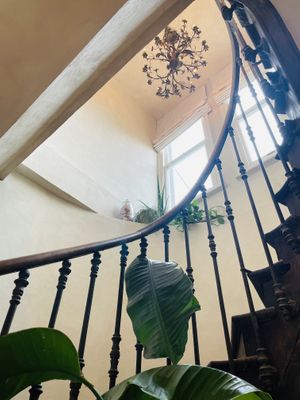   at Botanique in Hove