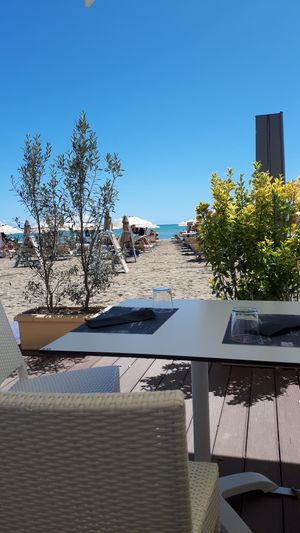  at Bistrot de Mar in Venice