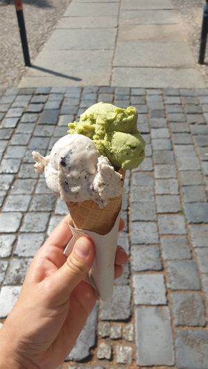  at Green Scoop Vegan in Berlin