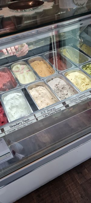  at Green Scoop Vegan in Berlin