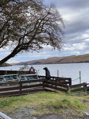 Outdoor seating at The Old Inn, Carbost, Isle of Skye  at The Old Inn & Waterfront Bunkhouse in Isle Of Skye