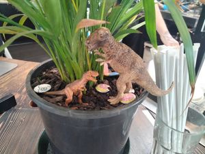 Rex met a friend at Discovery Coffee - Blanshard St in Victoria