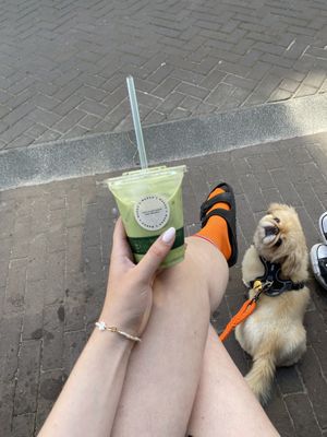 Matcha latte (iced) at Margo's Amsterdam - Jordaan in Amsterdam