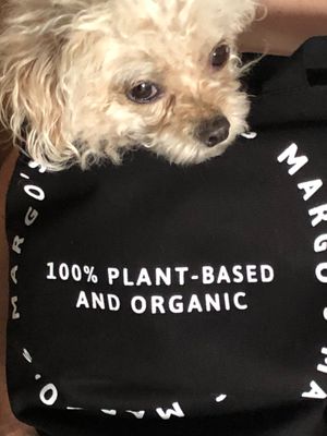 Our pup loves Margo’s too! at Margo's Amsterdam - Jordaan in Amsterdam