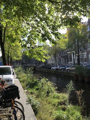   at Margo's Amsterdam - Jordaan in Amsterdam