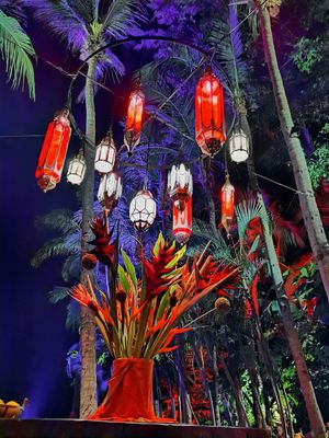 Red Door at The RED DOOR in Tamarindo