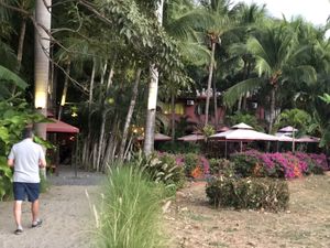   at The RED DOOR in Tamarindo