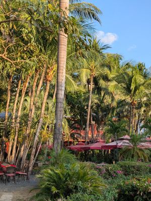  at The RED DOOR in Tamarindo