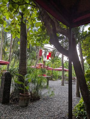  at The RED DOOR in Tamarindo