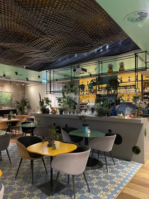 Plants everywhere! at Vegan Oasis in Tallinn