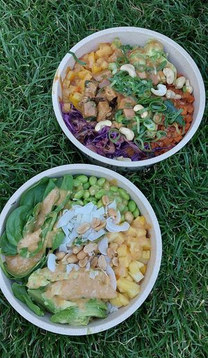 Vegan Bowls at Fat Monk - Wien Mitte in Vienna