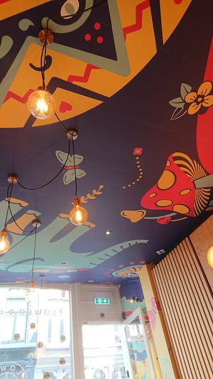 ceiling  at Flower Burger in Amsterdam