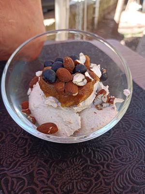 Deliciosa mouss de poma! at La Vermuteria in Solsona