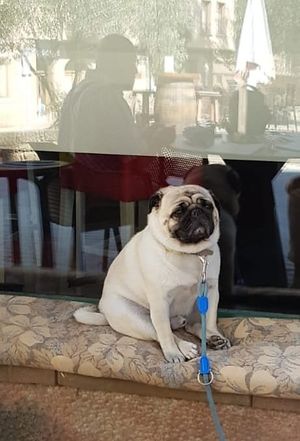  at La Vermuteria in Solsona