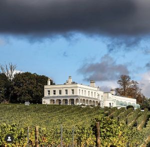 View from the vineyard at Lympstone Manor in Lympstone