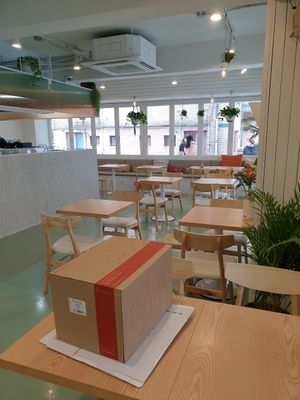 as empty as you will ever see Plant at Plant Cafe & Kitchen - Yeonnam in Seoul